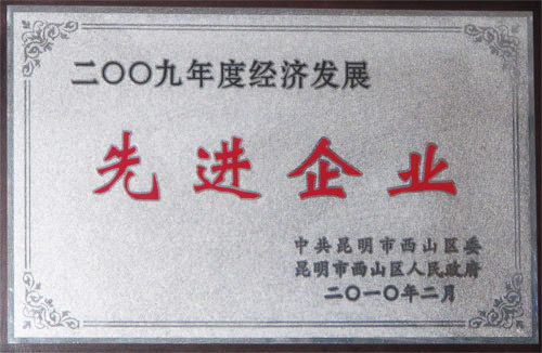 2009年度經(jīng)濟發(fā)展先進企業(yè)